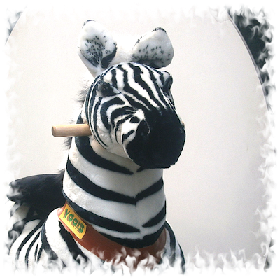 Hire me for FunRides at Shows,  Festivals,  Pony, Go Fun, Fairs, Sydney, Brisbane, Wollongong, Central Coast